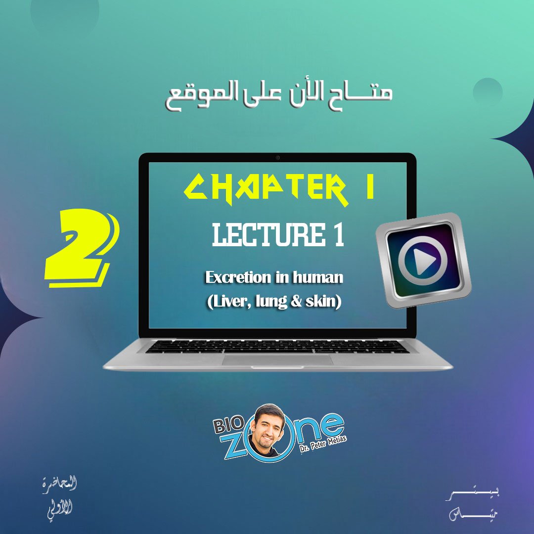 2025 - 2 -  الاسبوع الاول - الشرح